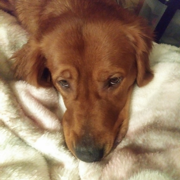 Meet your Posher, Tina - Picture 3 of 7